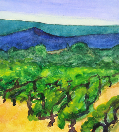 GRAPE VINES OF PROVENCE
France
Watercolor
18" h x15" w  Framed